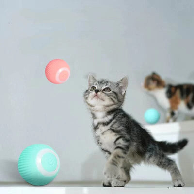 50% KORTING | KittyBall™ - Elektrisch zelfrollend kattenspeeltje [Laatste dag korting].