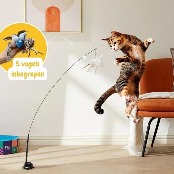 MeowFeather Toy™ - Interactief kattenspeeltje met veren [laatste dag korting]