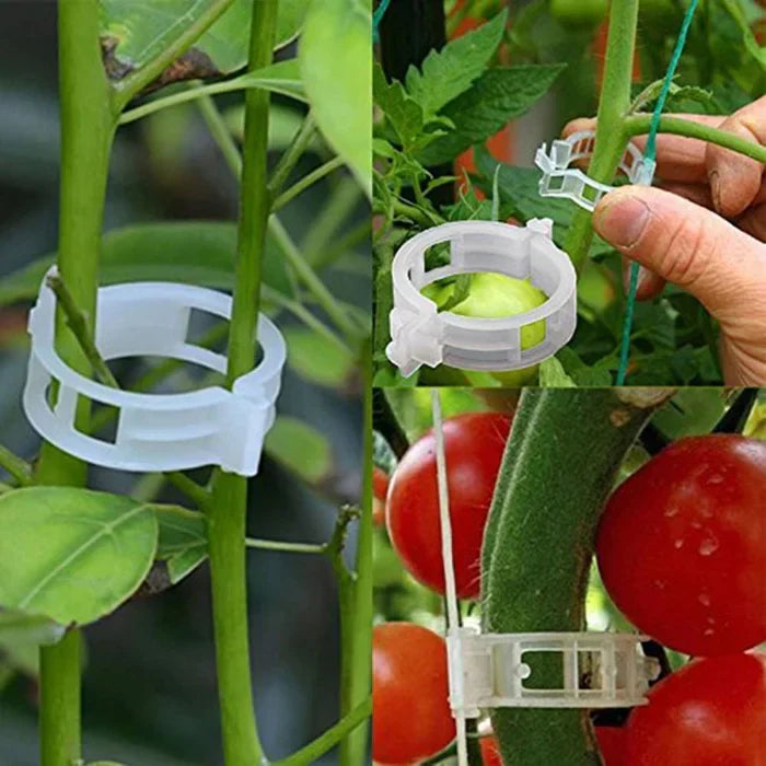 25+25 GRATIS FloraClips™ - Plastic Planten Clips Houder [Laatste dag korting]