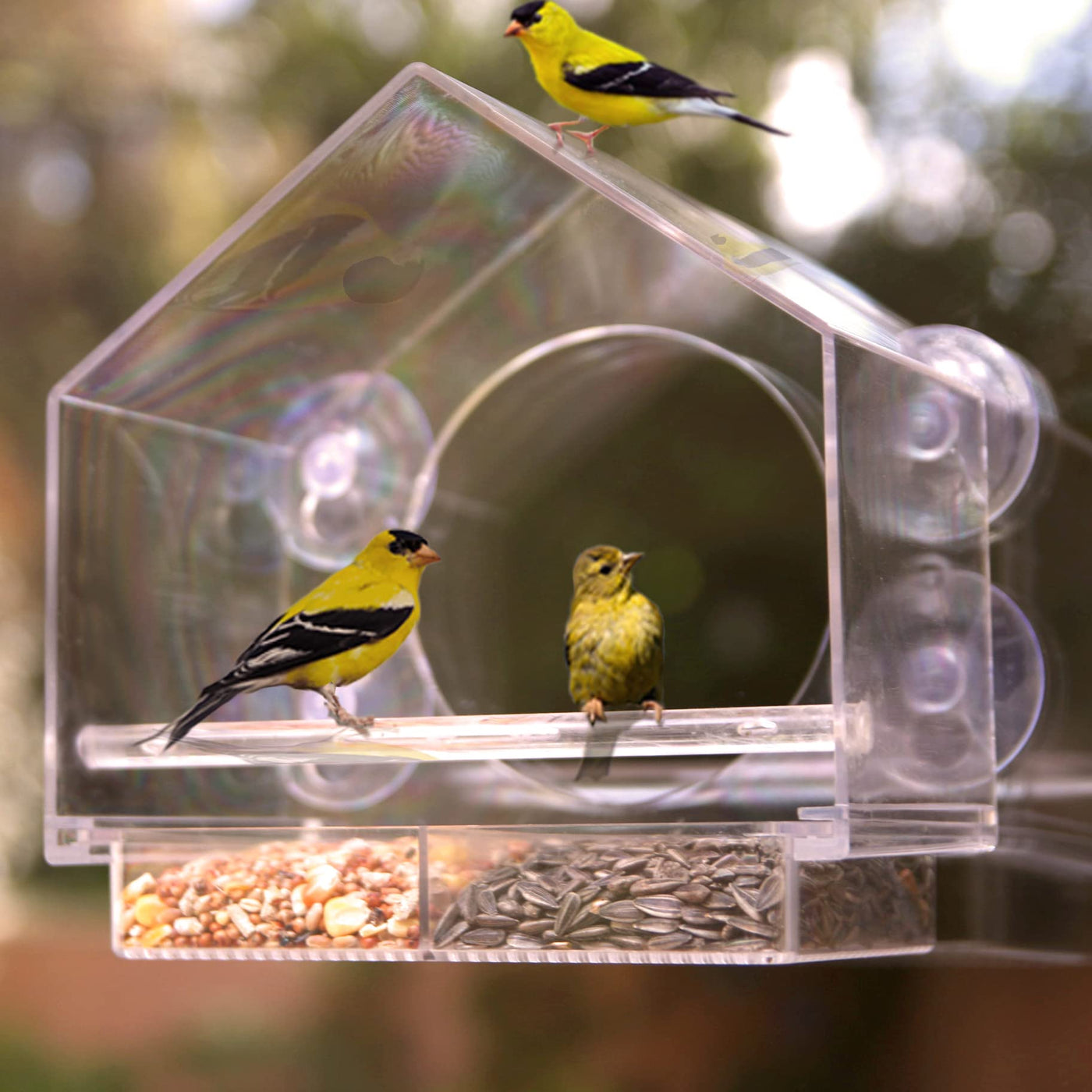 TweetieFeeder™ - Acryl vogelvoederhuisje voor buitenramen [laatste dag korting]