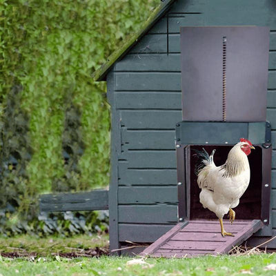 ChickenEntry™ - Automatische Kippenhokdeur voor Pluimveehouderij [Laatste dag korting]