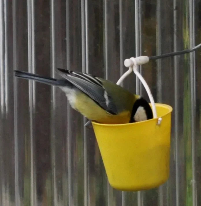 FerrisWheel™ - Vogelvoederhuisje voor buiten [Laatste dag korting]