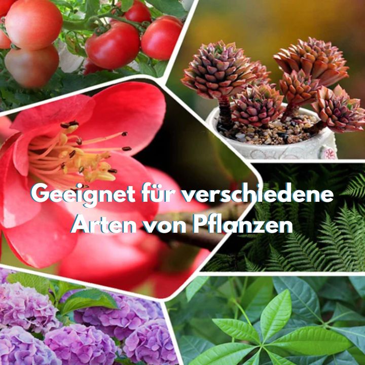 1+1 GRATIS | GrowBoost™️ - Breng planten weer tot leven op een milieuvriendelijke manier! [Laatste dag korting]