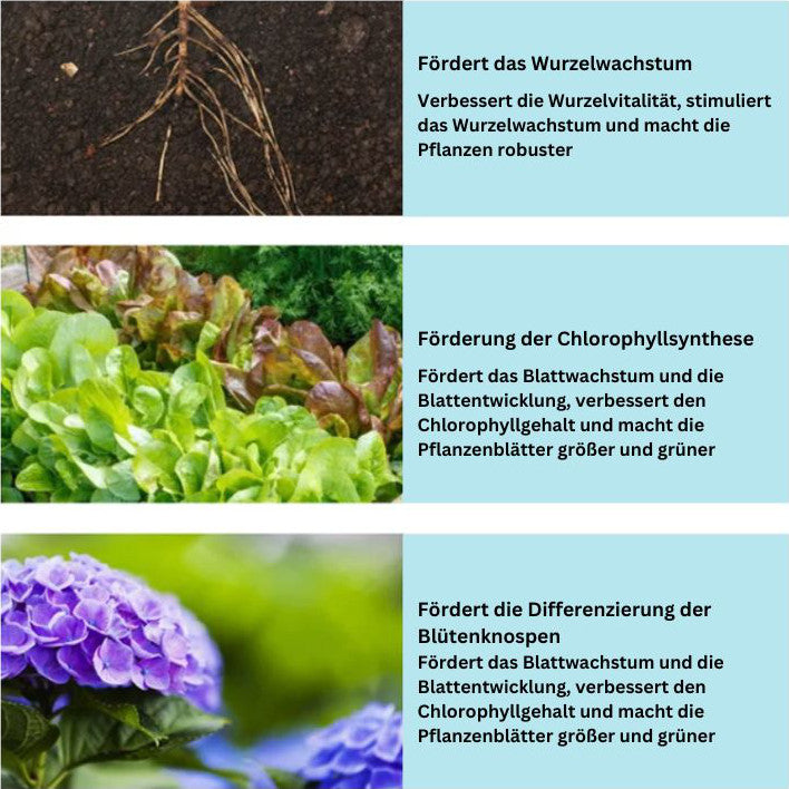 1+1 GRATIS | GrowBoost™️ - Breng planten weer tot leven op een milieuvriendelijke manier! [Laatste dag korting]