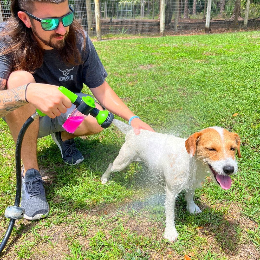 BarkBath™ - Hondenwasborstel met schuimsproeier [Laatste dag korting]