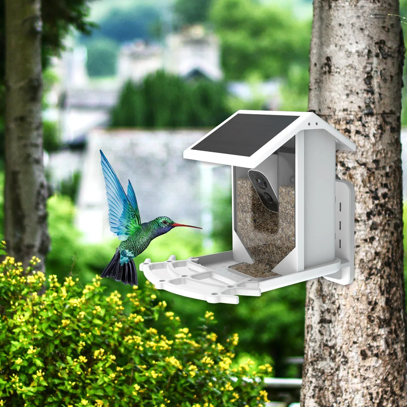 SmartFeeder™ - Intelligentes Solar-Vogelfutterhaus