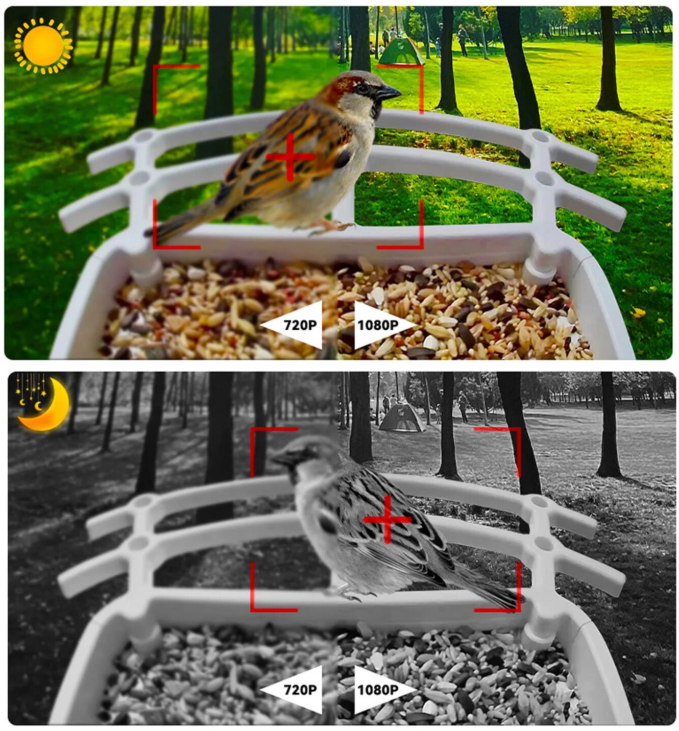 SmartFeeder™ - Intelligentes Solar-Vogelfutterhaus