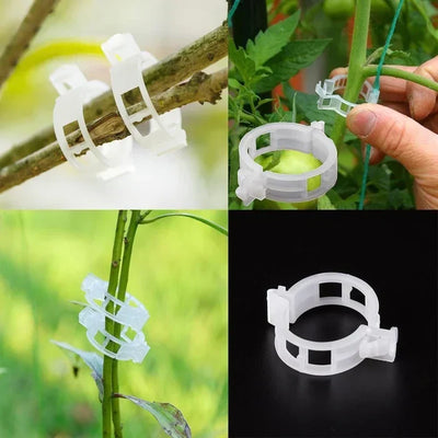 25+25 GRATIS FloraClips™ - Plastic Planten Clips Houder [Laatste dag korting]