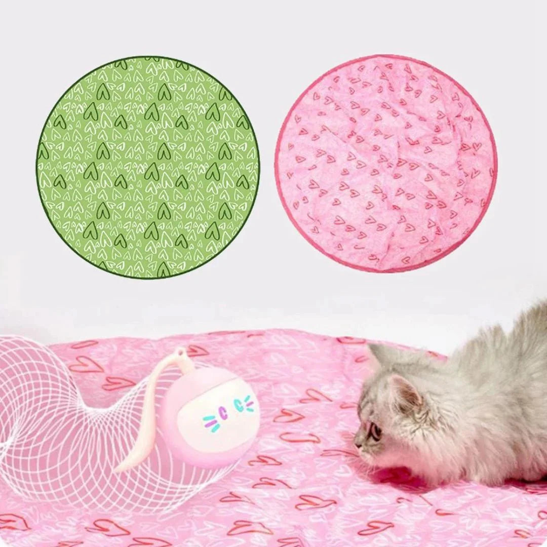 CatChase Duo | Interactief 2-in-1 Kattenspeeltje