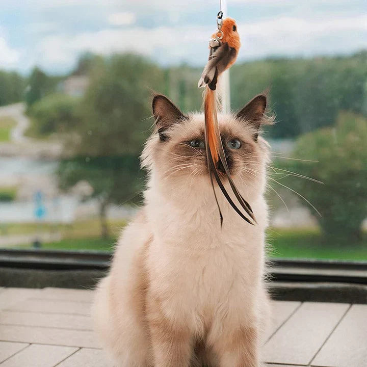 MeowFeather Toy™ - Interactief kattenspeeltje met veren [laatste dag korting]