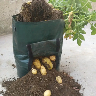 MiniGarden - Groente en planten Groei Zakken