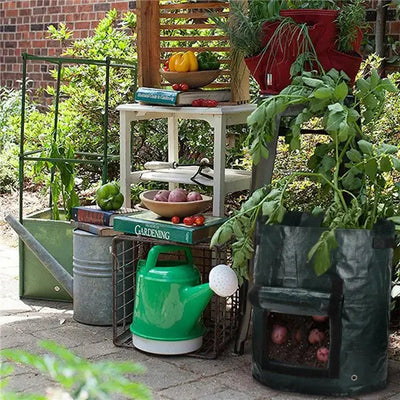 MiniGarden - Groente en planten Groei Zakken