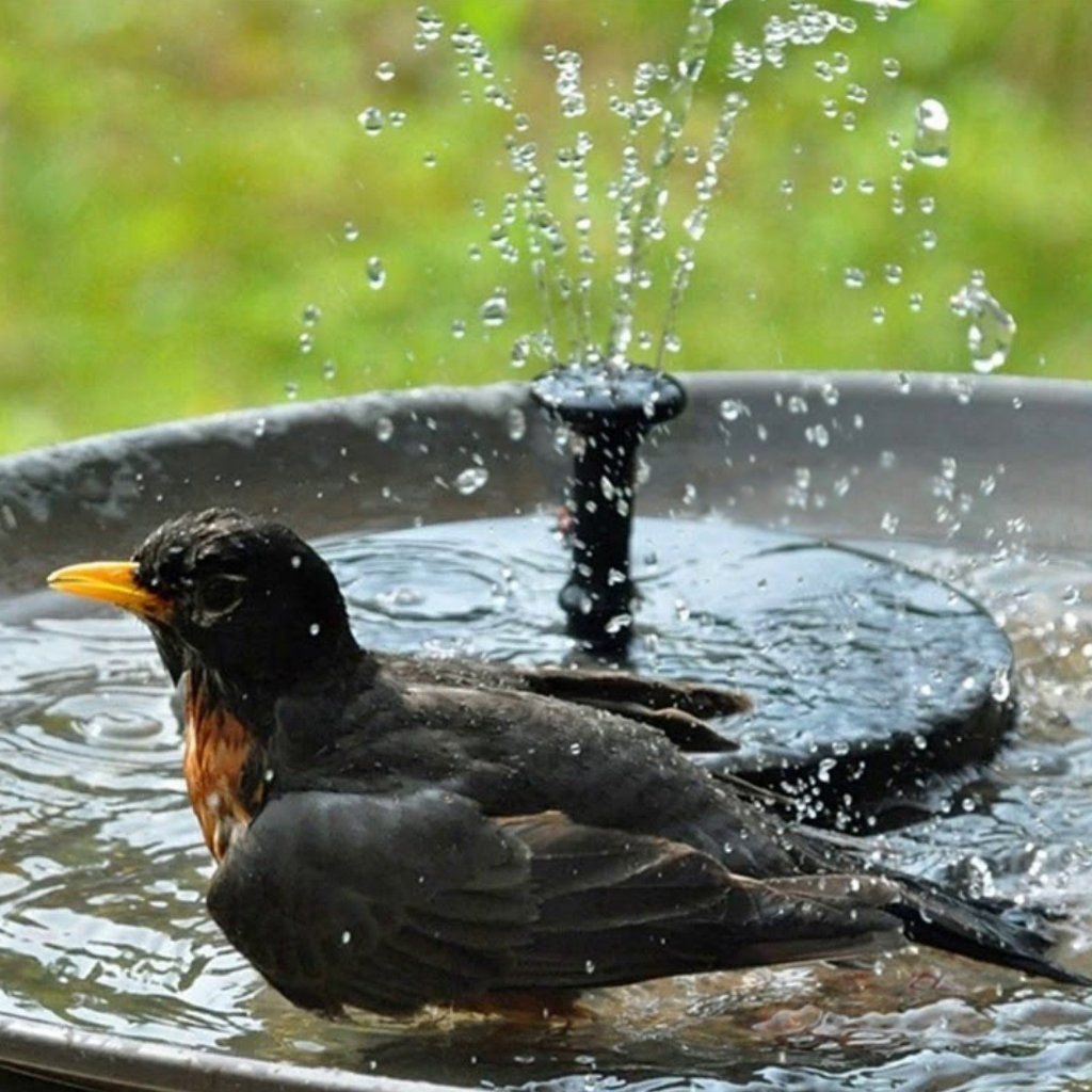 50% KORTING | SolarFountain™ - Fontein op zonne-energie [Laatste dag korting]